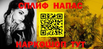 гашик Краснодар