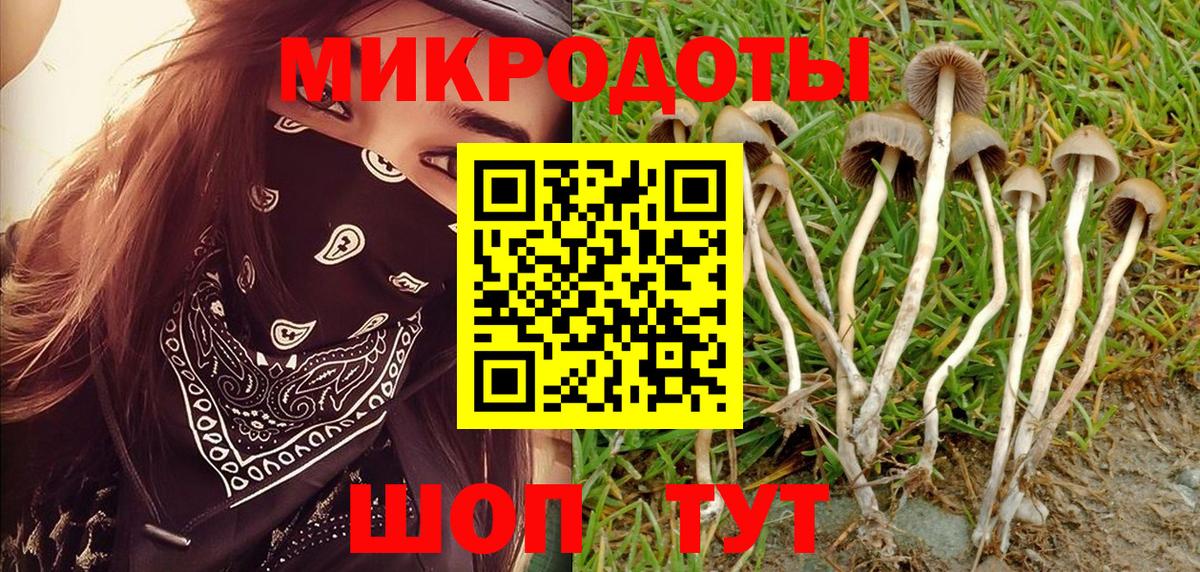 Псилоцибиновые грибы Cubensis Ишимбай